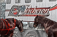 img_2789-fuhrmanstag-kemnitz-2013