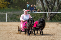 img_2815-fuhrmanstag-kemnitz-2013