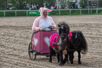 img_2834-fuhrmanstag-kemnitz-2013