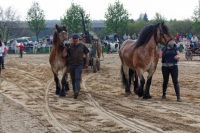 img_2979-fuhrmanstag-kemnitz-2013