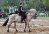 img_2988-fuhrmanstag-kemnitz-2013