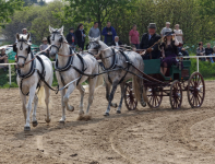 img_3061-fuhrmanstag-kemnitz-2013