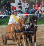 img_3156-fuhrmanstag-kemnitz-2013