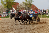 img_3263-fuhrmanstag-kemnitz-2013