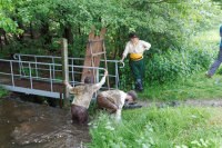 img_5225_brauraubritter_neukirch_2013