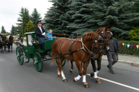 img_8258_bierzug-eibau-2013_0