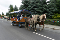 img_8266_bierzug-eibau-2013_0