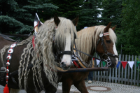 img_8268_bierzug-eibau-2013_0