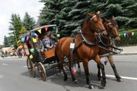 img_8307_bierzug-eibau-2013_0