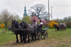 img_2653-fuhrmanstag-kemnitz-2013