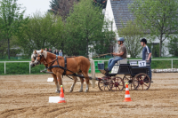img_2656-fuhrmanstag-kemnitz-2013