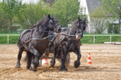 img_2670-fuhrmanstag-kemnitz-2013