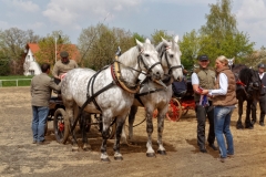 img_2699-fuhrmanstag-kemnitz-2013