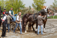 img_2701-fuhrmanstag-kemnitz-2013