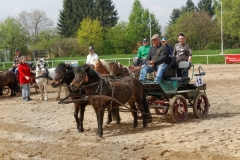 img_2704-fuhrmanstag-kemnitz-2013