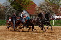 img_2713-fuhrmanstag-kemnitz-2013
