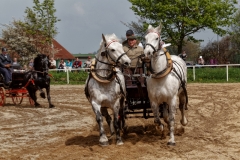 img_2717-fuhrmanstag-kemnitz-2013