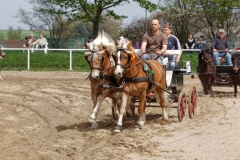 img_2722-fuhrmanstag-kemnitz-2013