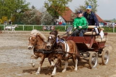 img_2725-fuhrmanstag-kemnitz-2013