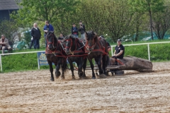 img_2729-fuhrmanstag-kemnitz-2013