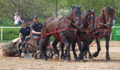 img_2730-fuhrmanstag-kemnitz-2013