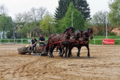 img_2733-fuhrmanstag-kemnitz-2013