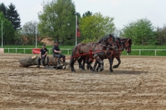 img_2734-fuhrmanstag-kemnitz-2013