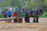 img_2747-fuhrmanstag-kemnitz-2013