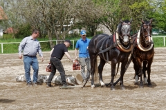 img_2776-fuhrmanstag-kemnitz-2013
