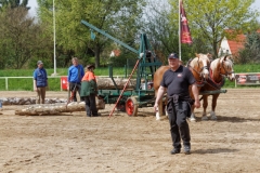 img_2777-fuhrmanstag-kemnitz-2013