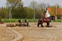 img_2783-fuhrmanstag-kemnitz-2013
