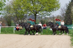 img_2797-fuhrmanstag-kemnitz-2013