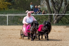 img_2815-fuhrmanstag-kemnitz-2013