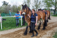 img_2943-fuhrmanstag-kemnitz-2013