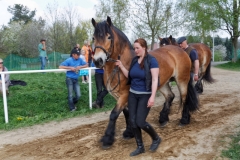 img_2943-fuhrmanstag-kemnitz-2013