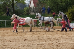 img_3059-fuhrmanstag-kemnitz-2013