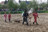 img_3065-fuhrmanstag-kemnitz-2013