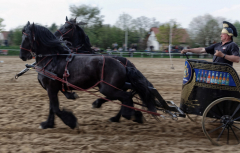 img_3146-fuhrmanstag-kemnitz-2013