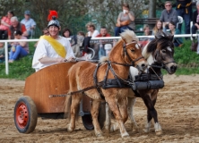 img_3155-fuhrmanstag-kemnitz-2013