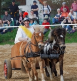 img_3156-fuhrmanstag-kemnitz-2013