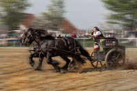 img_3244-fuhrmanstag-kemnitz-2013