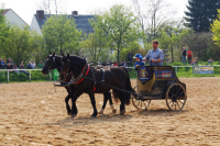 img_3270-fuhrmanstag-kemnitz-2013