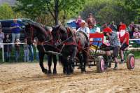 img_3303-fuhrmanstag-kemnitz-2013