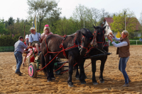 img_3373-fuhrmanstag-kemnitz-2013