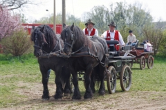 img_2655-fuhrmanstag-kemnitz-2013