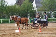 img_2656-fuhrmanstag-kemnitz-2013