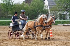 img_2657-fuhrmanstag-kemnitz-2013