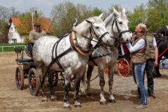 img_2700-fuhrmanstag-kemnitz-2013