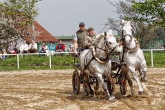 img_2716-fuhrmanstag-kemnitz-2013