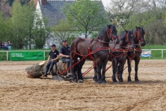 img_2732-fuhrmanstag-kemnitz-2013